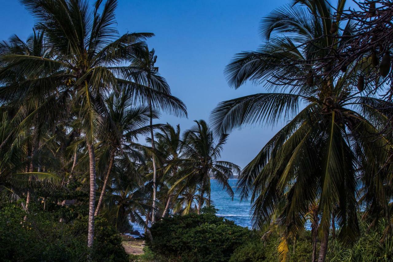 Msambweni Beach House别墅 外观 照片
