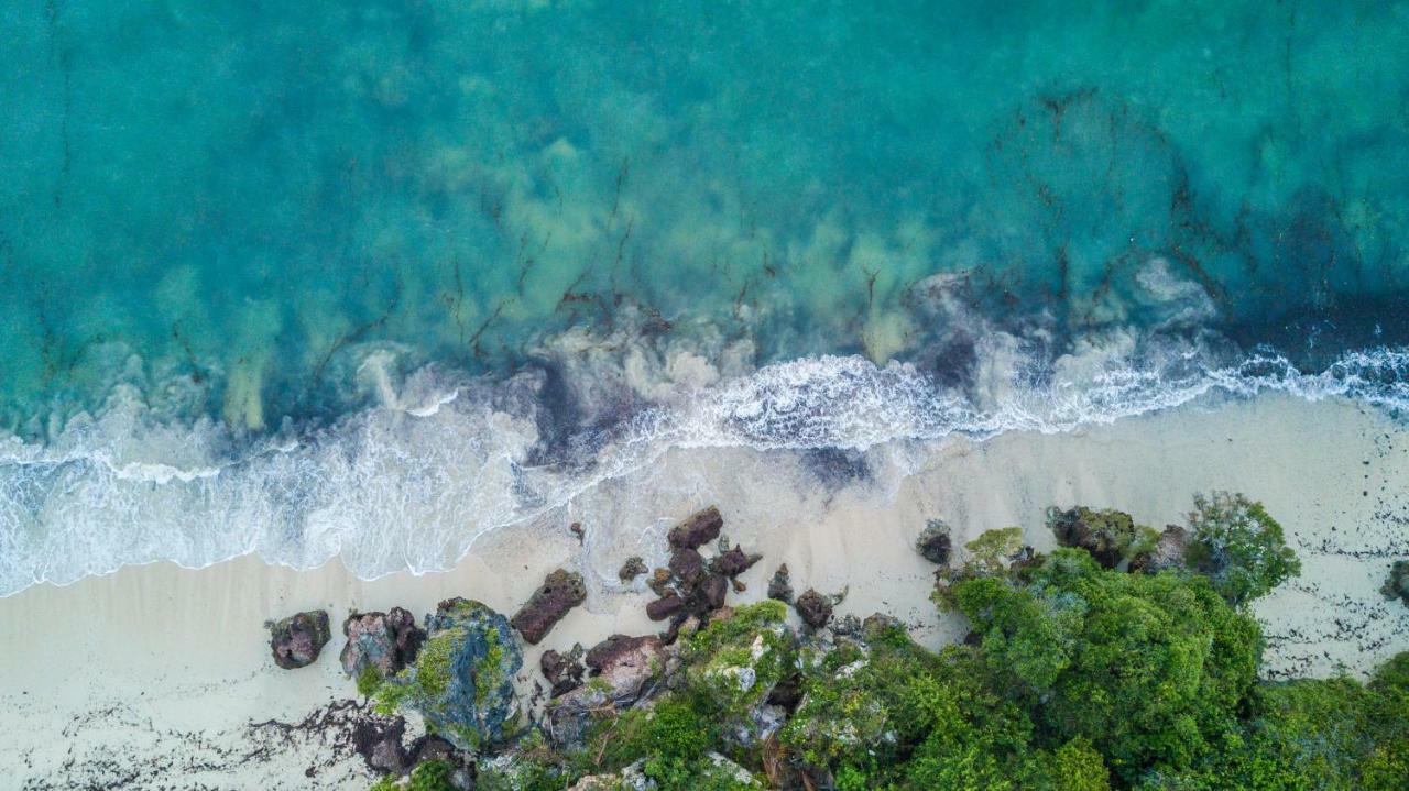 Msambweni Beach House别墅 外观 照片